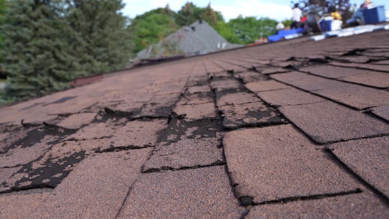Best Emergency Roof Repair Services  in Brownstown, PA