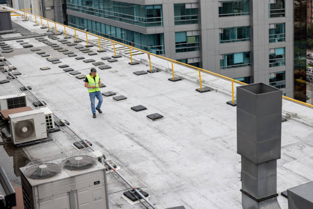 Best Asphalt Shingles Roofing  in Brownstown, PA