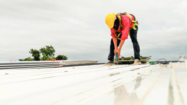 Best Asphalt Shingle Roofing  in Brownstown, PA