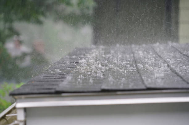 Best Commercial Roofing Services  in Brownstown, PA